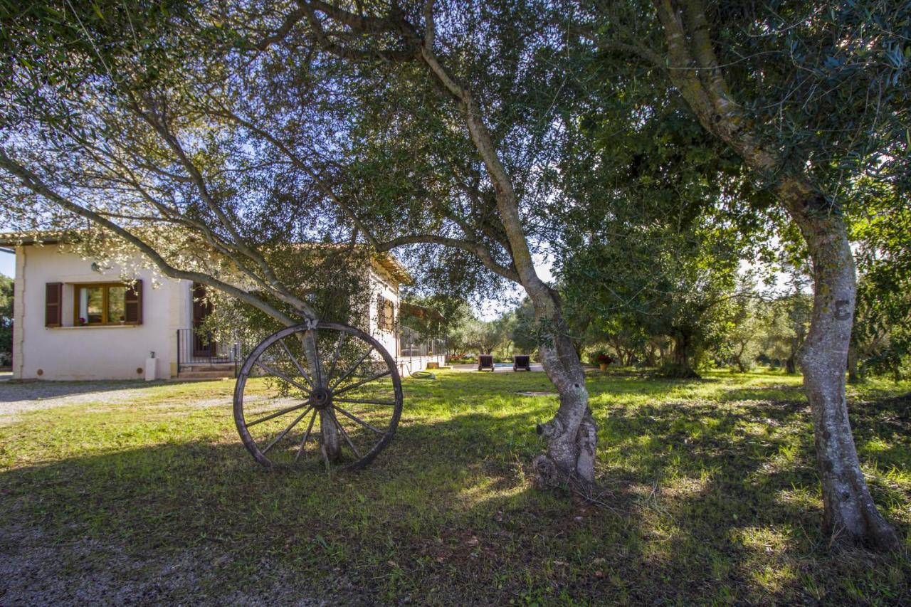 Finca Katia Capdepera  Zewnętrze zdjęcie